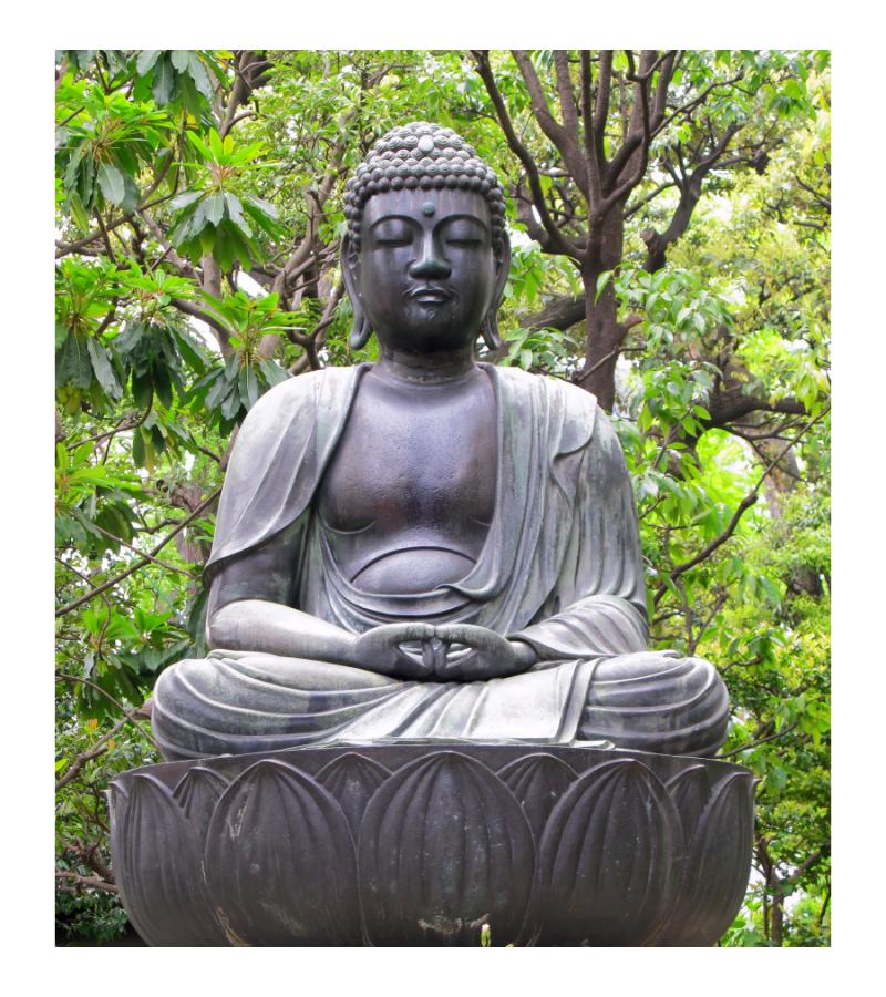 Boeddha tuinposter