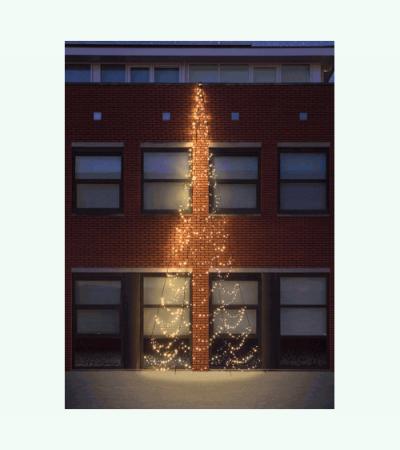 Fairybell muur kerstboom halfrond 800 cm 750 led warmwit