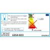Micro LED lichtsnoer transparant met 100 extra warm witte lampen