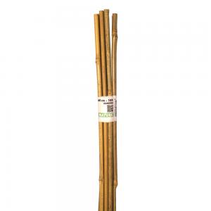 Bamboestokken 60 cm 10 stuks