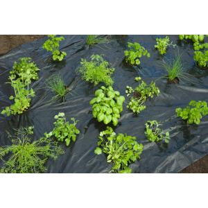 Afbeelding Nature Kweekfolie Tuinkruiden - Groeifolie Gronddoek - 0.95x5 m Zwart Anti-Uv door Tuinexpress.nl