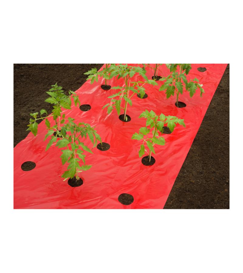 Kweekfolie voor tomaten 0.95 x 10 m