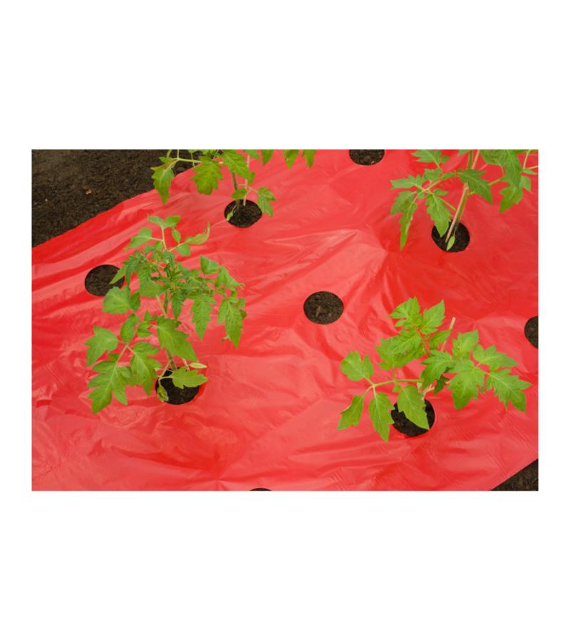 Kweekfolie voor tomaten 0.95 x 5 m