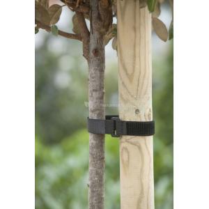 Afbeelding Nature Klittenboomband - Klim-En Geleide Artikel - 2.5x40 cm Zwart 2 stuks door Tuinexpress.nl