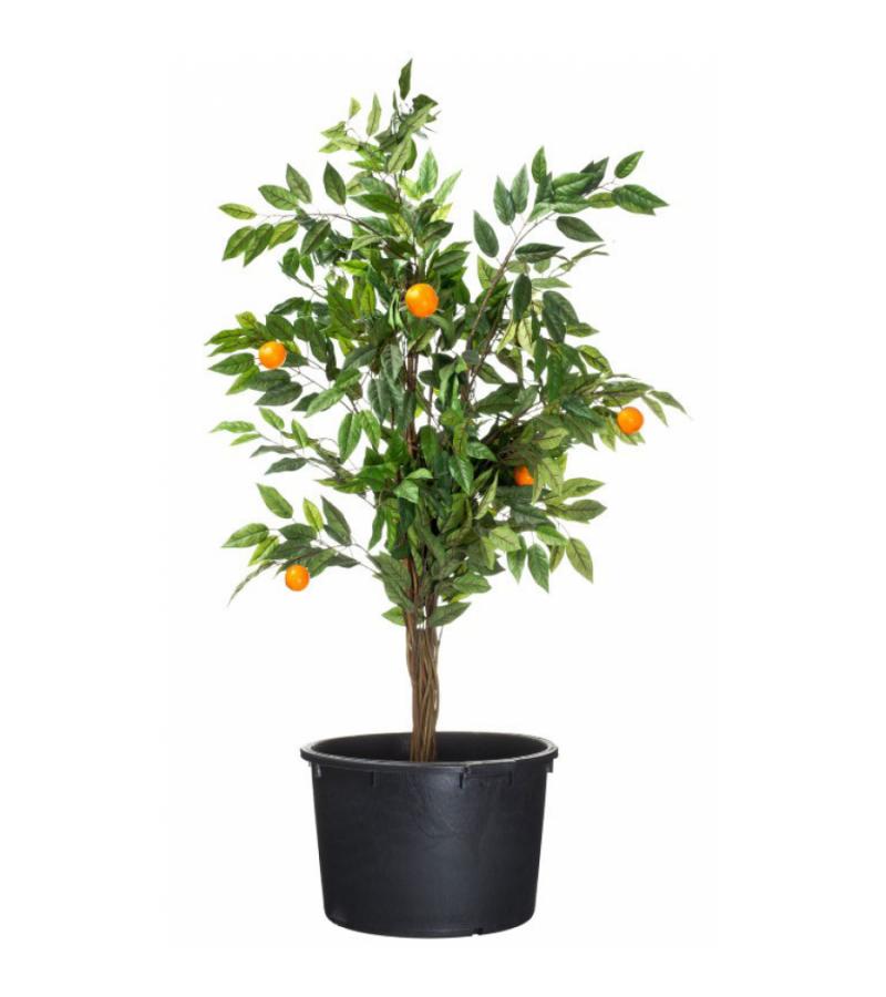 Victoria container 36 x &Oslash; 68 cm - 90 liter