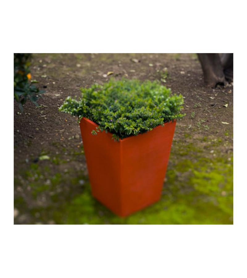 Calendula bloempot