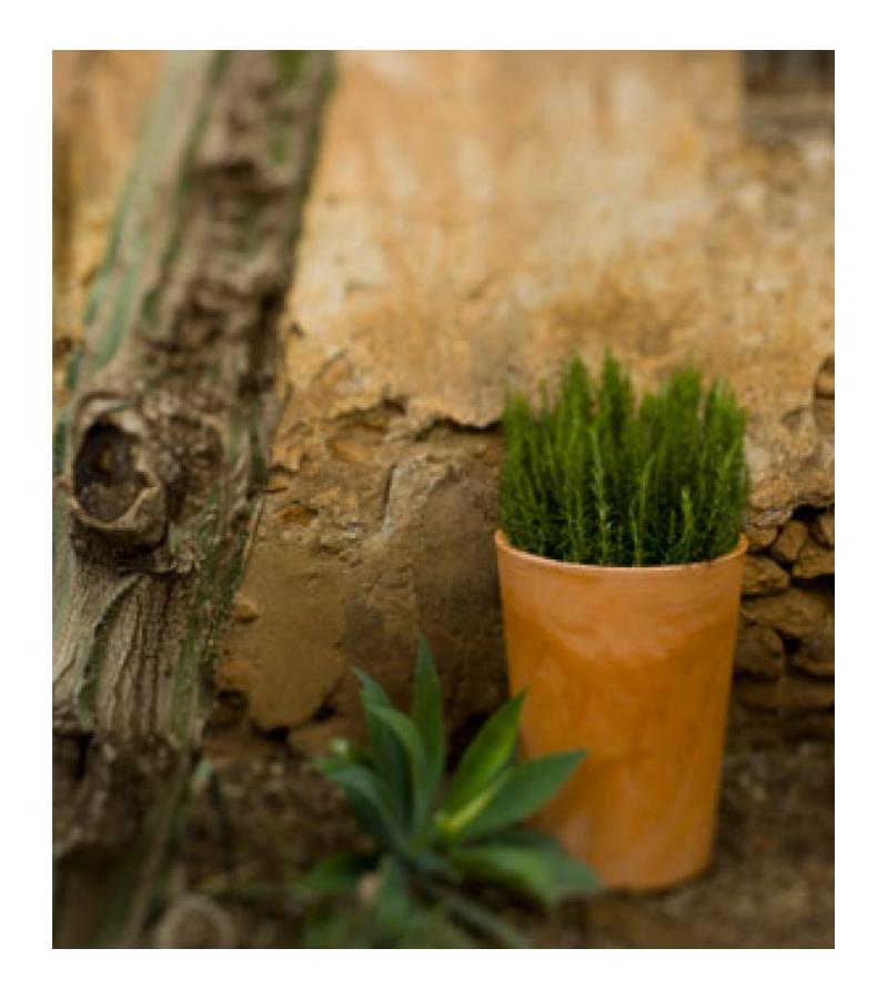 Gerbera bloempot