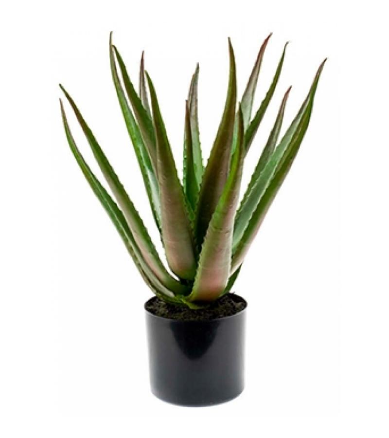 Kunstplant Aloe vera M
