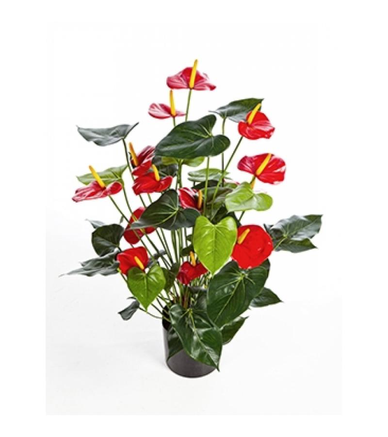 Kunstplant Anthurium red