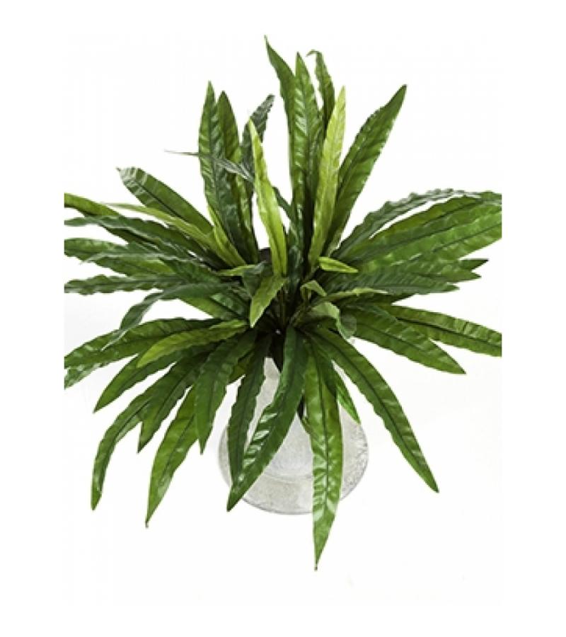 Kunstplant Asplenium M