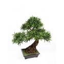 Kunstplant Podocarpus bonsai L