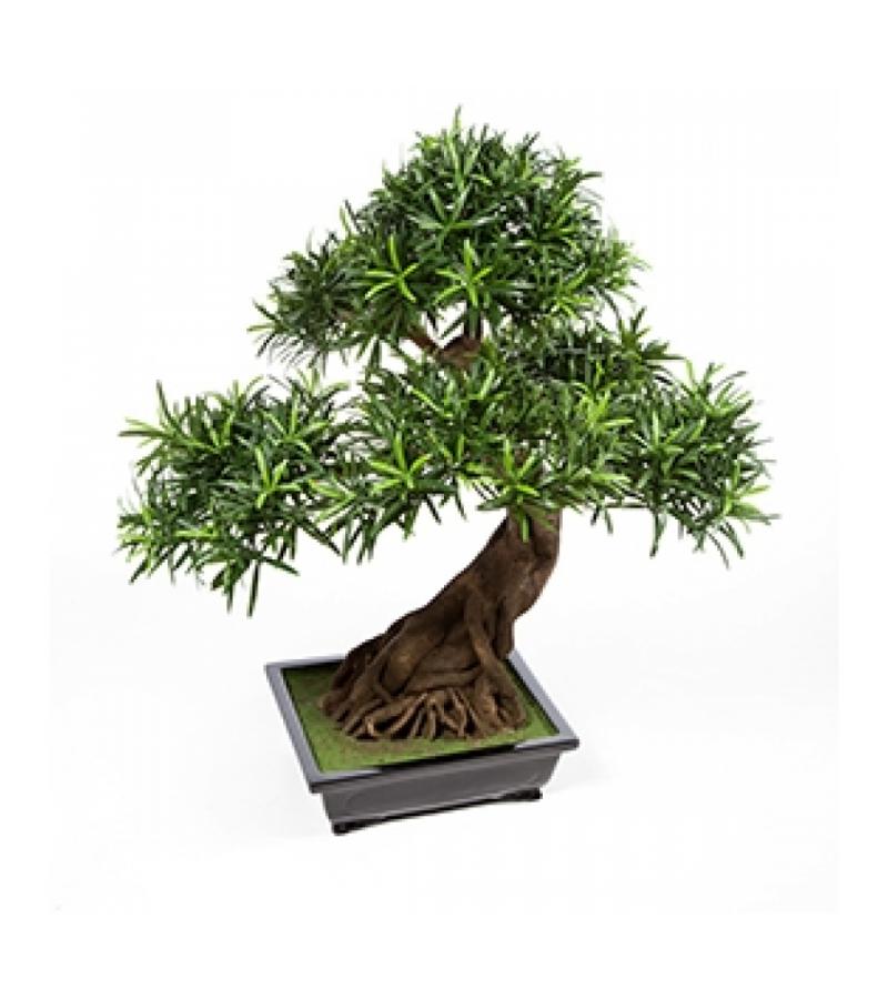 Kunstplant Podocarpus bonsai L