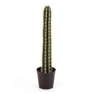 Dagaanbieding - Kunstplant Cactus straight M dagelijkse koopjes