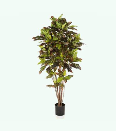 Kunstplant Croton exellent M
