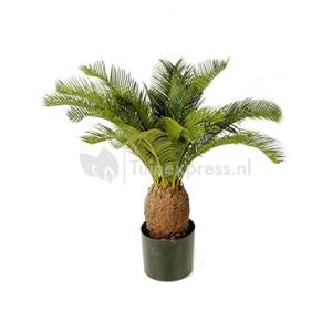 Dagaanbieding - Kunstplant Cycas palm M dagelijkse aanbiedingen