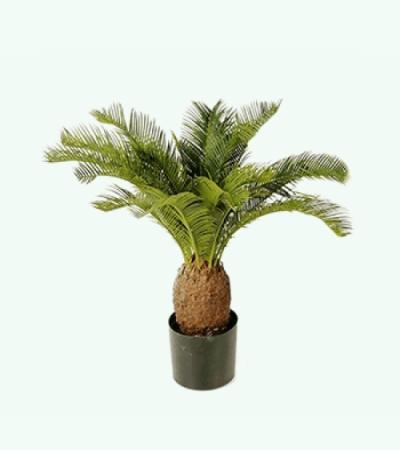 Kunstplant Cycas palm M