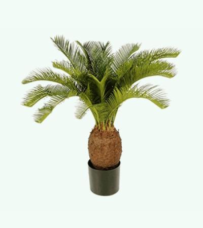 Kunstplant Cycas palm L