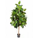 Kunstplant Ficus elastica L