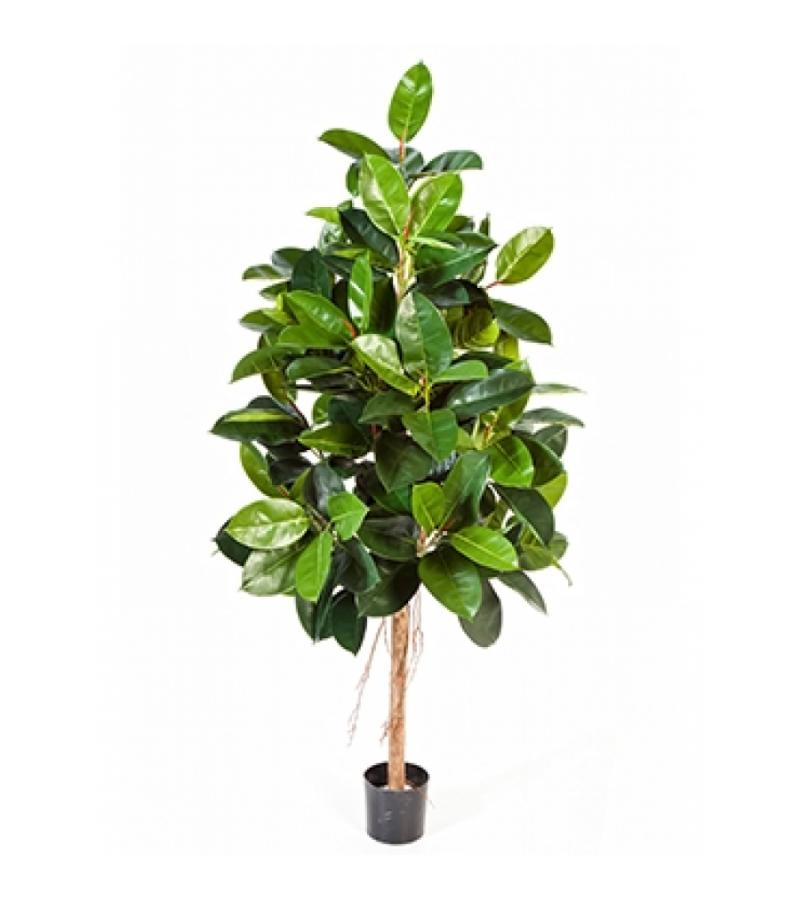 Kunstplant Ficus elastica L