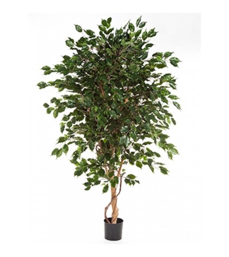 Kunstplant Ficus exotica de luxe M
