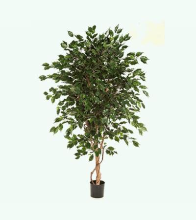 Kunstplant Ficus exotica de luxe L