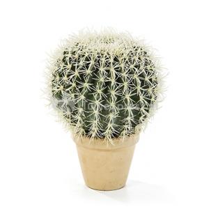Kunstplant Golden barrel cactus XL