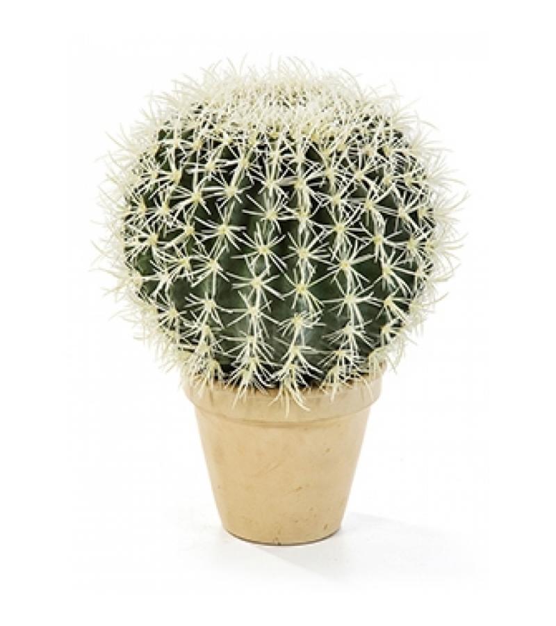 Kunstplant Golden barrel cactus XL
