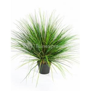 Kunstplant Grass onion M