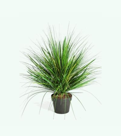Kunstplant Grass onion S