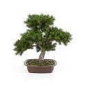 Kunstplant Pinus bonsai M