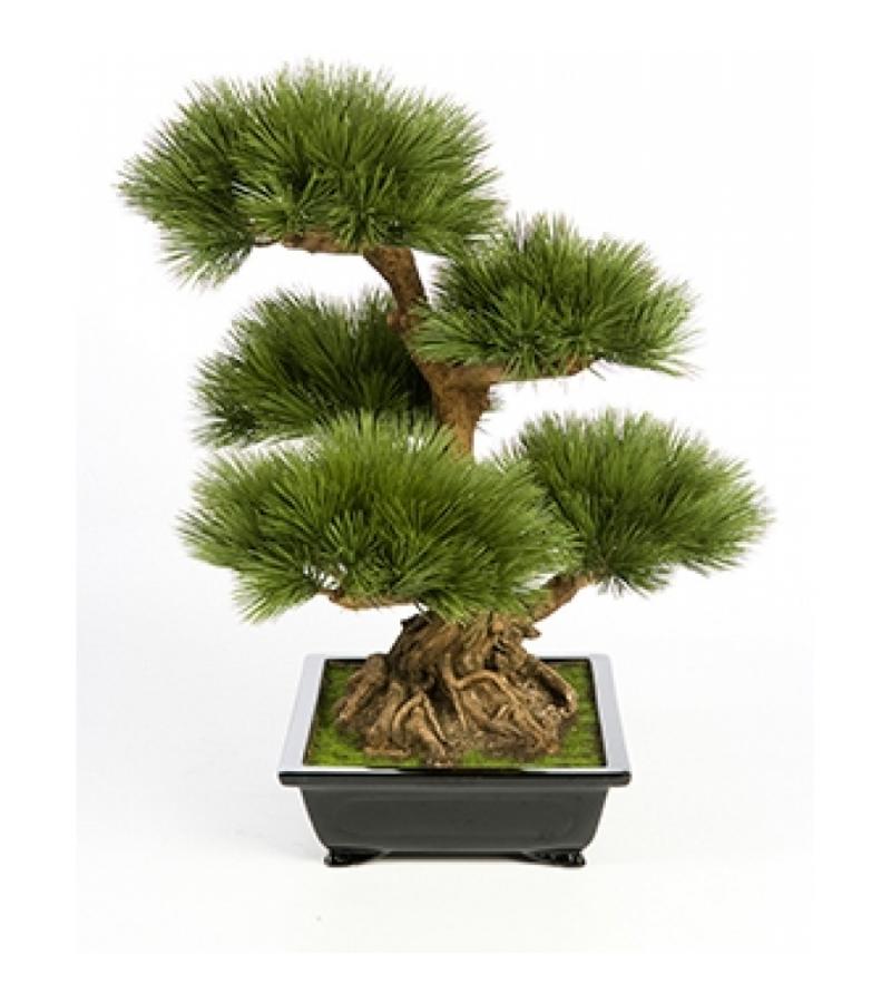 Kunstplant Pinus bonsai L