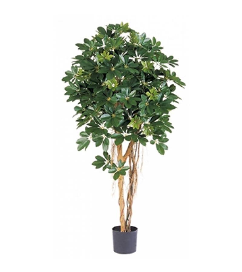Kunstplant Schefflera arboricola XL