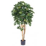 Kunstplant Schefflera arboricola M