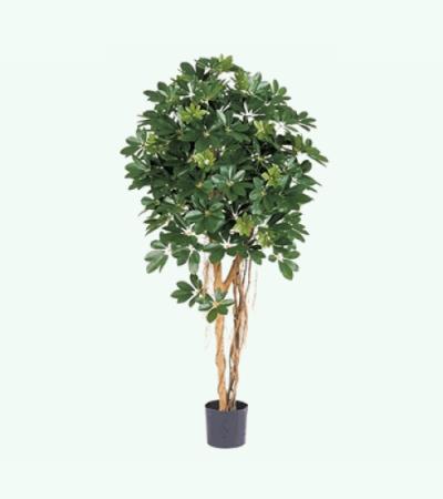 Kunstplant Schefflera arboricola M