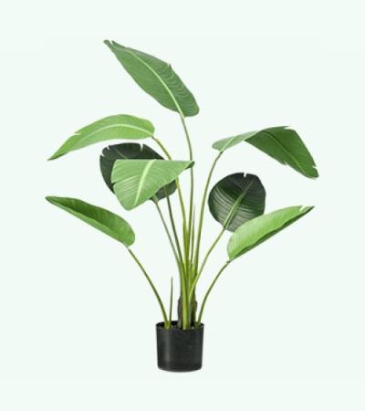 Kunstplant Strelitzia M