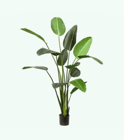 Kunstplant Strelitzia L