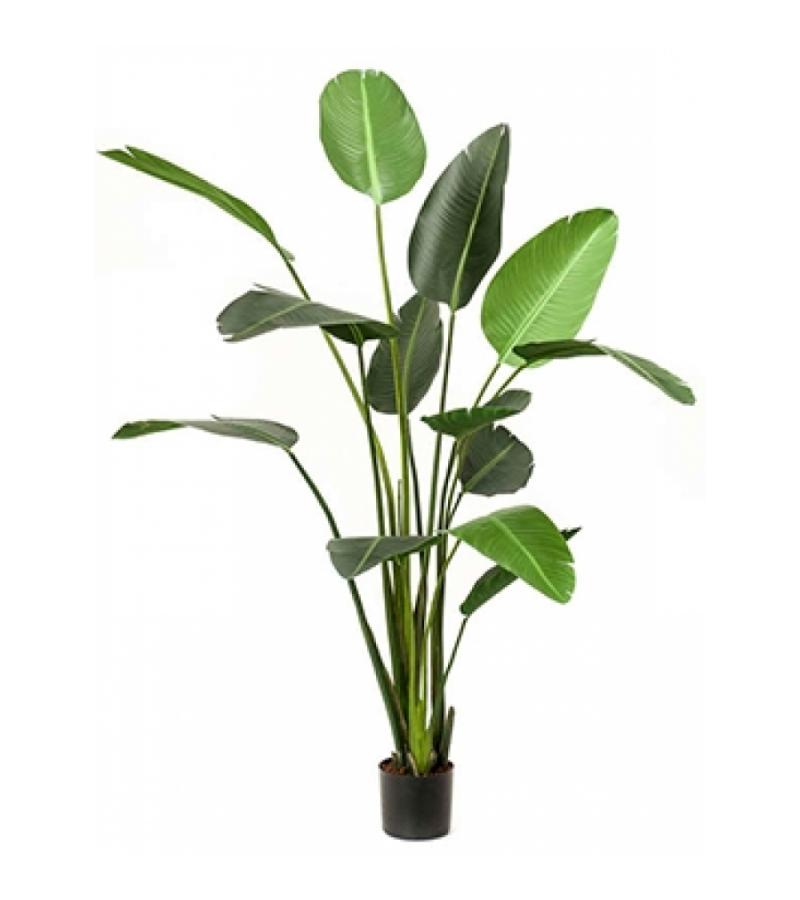 Kunstplant Strelitzia XL