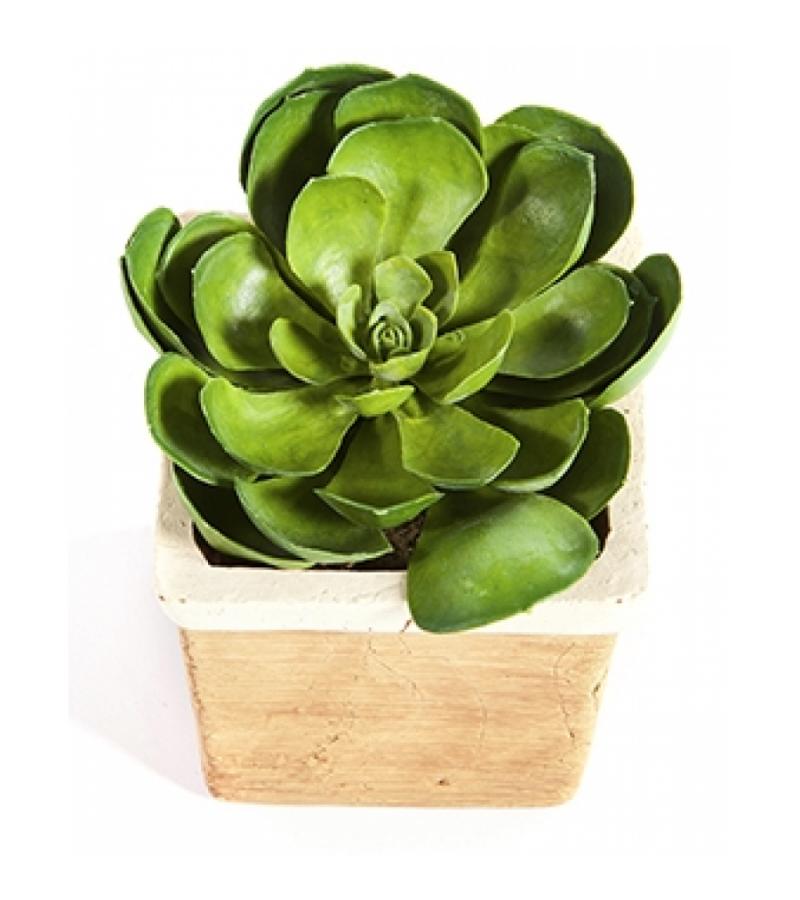 Kunstplant Succulent M