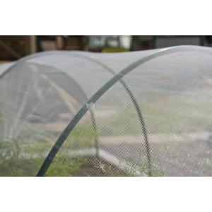 Anti-insectengaas transparant - 2 x 5 meter