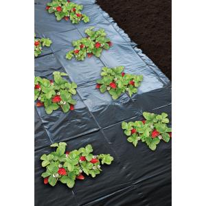 Aardbeienfolie micro-geperforeerd - 1.40 x 10m