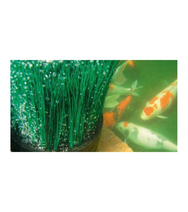 Oase OxyTex CWS set 2000 luchtpomp