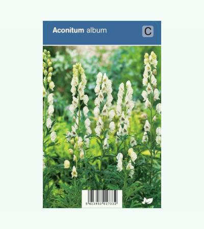 Monnikskap (aconitum album) schaduwplant