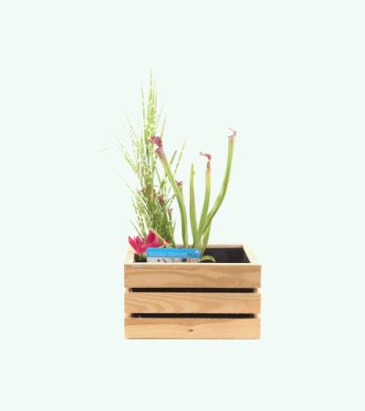 Mini vijver in houten kistje blank