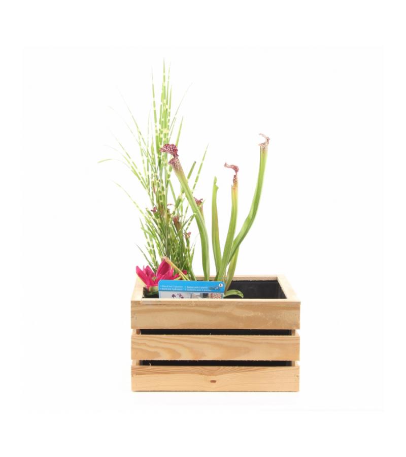 Mini vijver in houten kistje blank