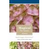 Hydrangea Macrophylla "Magical Harmony Roze"® boerenhortensia
