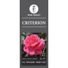 Grootbloemige roos (rosa "Criterion")