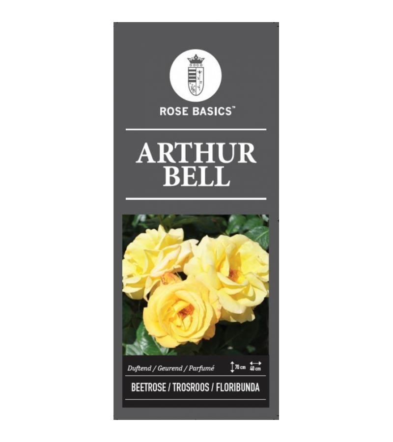 Trosroos (rosa "Arthur Bell")