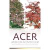 Japanse esdoorn (Acer Japonicum "Aconitifolium") heester