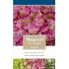 Hydrangea Macrophylla "Magical Coral Pink"® boerenhortensia
