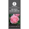 Grootbloemige roos (rosa "Queen Elizabeth")
